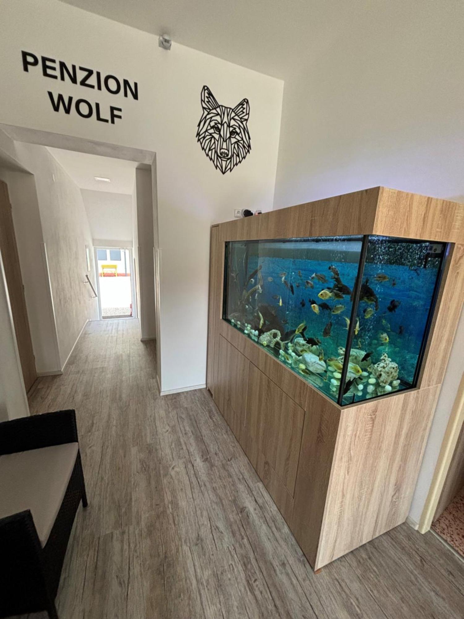 Penzion A Autokemp Wolf Ceska Skalice Luaran gambar